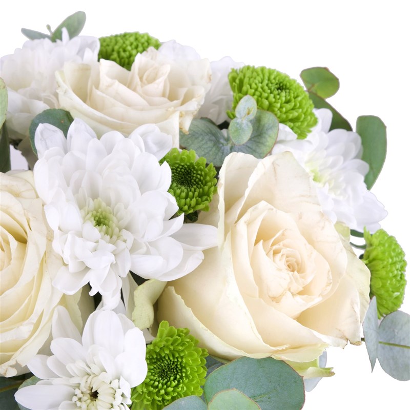 Baltica Galata Beyaz