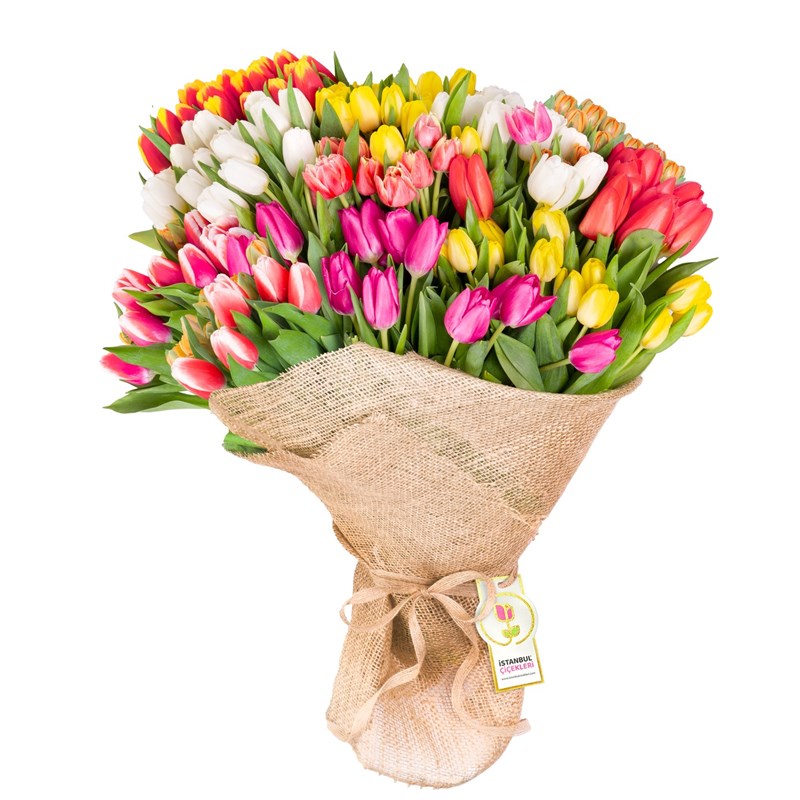 Premium Lale Buketi Magical Surprise