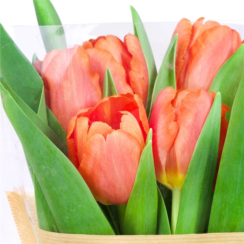 Turuncu Lale Buketi - 7 li