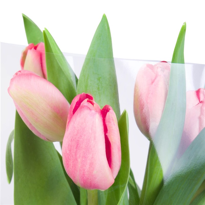 Pembe Lale Buketi - 7 li