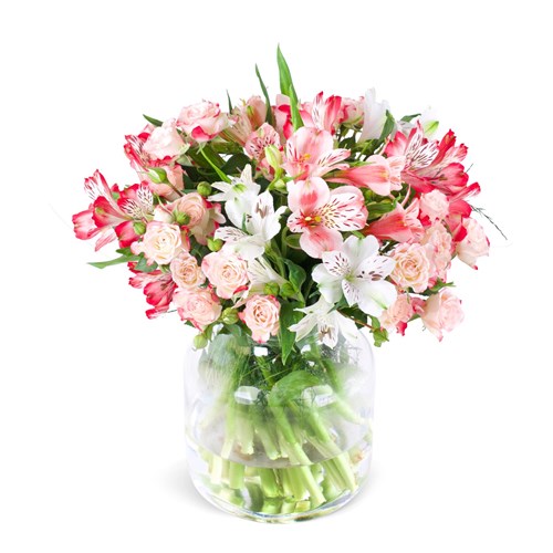 Fresh Power Alstroemeria