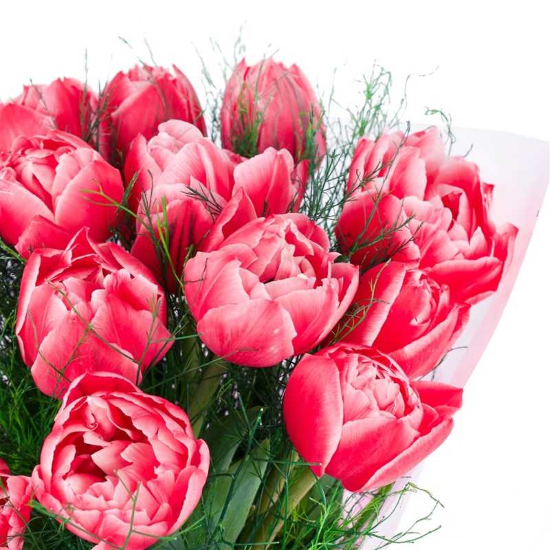 15 li Pembe Lale Buketi