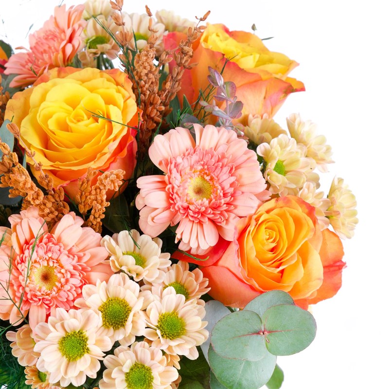 Rossi Salmon Bilbao Yellow