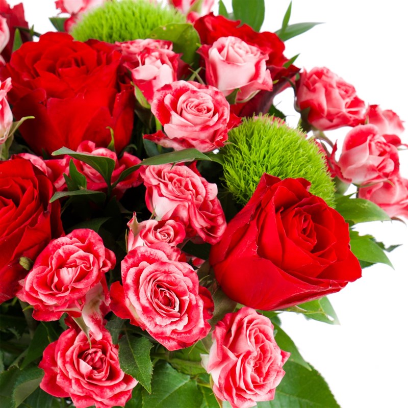 Rosa Aranjmanı Bilbao Red