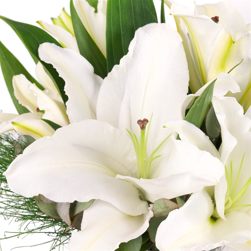 Cam Vazoda Beyaz Lilyum Aranjmanı Winter Petals