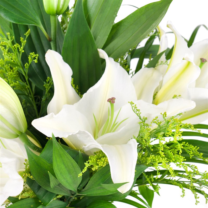 Cam Vazoda Beyaz Lilyum Aranjmanı Winter Petals Yeşil