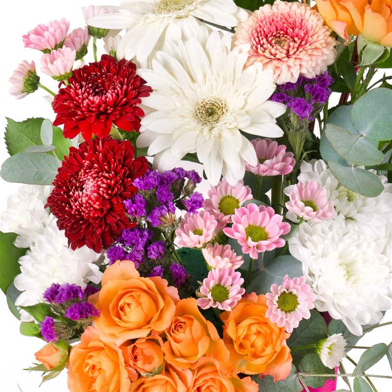 Renkli Papatya Aranjmanı Ören Fuşya