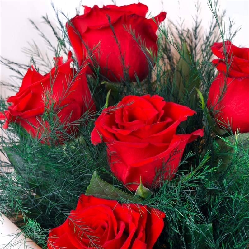 5 li Kırmızı Gül Buketi Nilüfer Krem