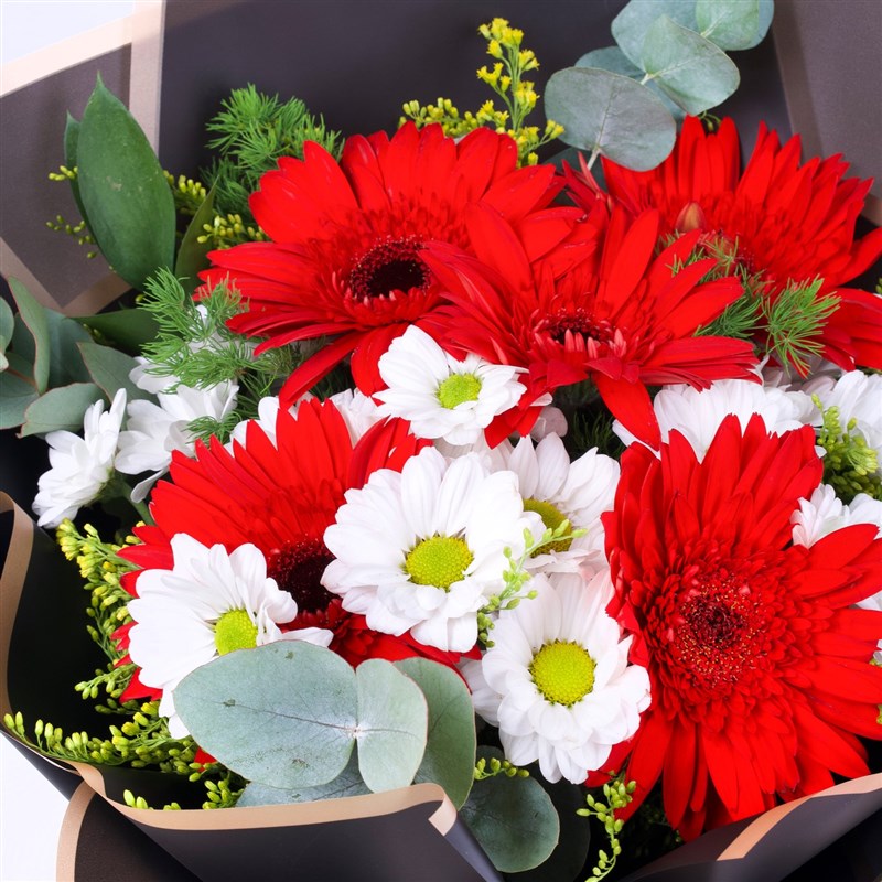 Red Gerbera and White Daisy Bouquet