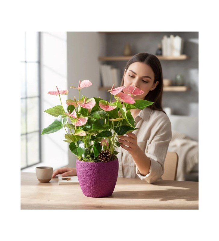Dekoratif Saksıda Pembe Anthurium Aranjmanı