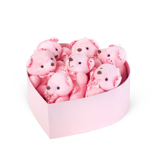 Pembe Kalp Kutuda Pembe Ayıcıklar