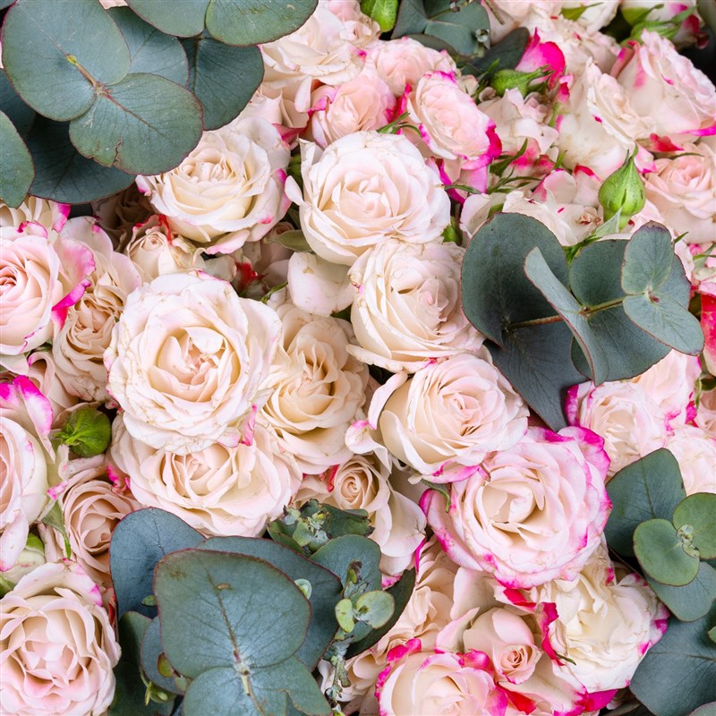 Premium Pıtırcık Buketi