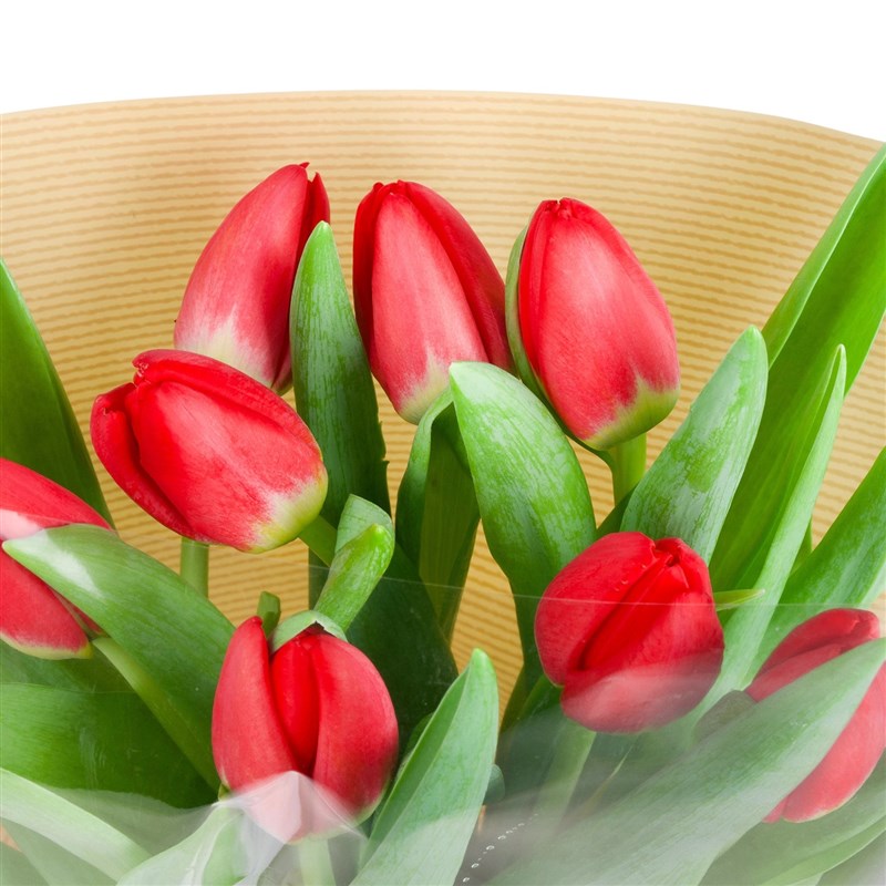 Kırmızı Lale Buketi