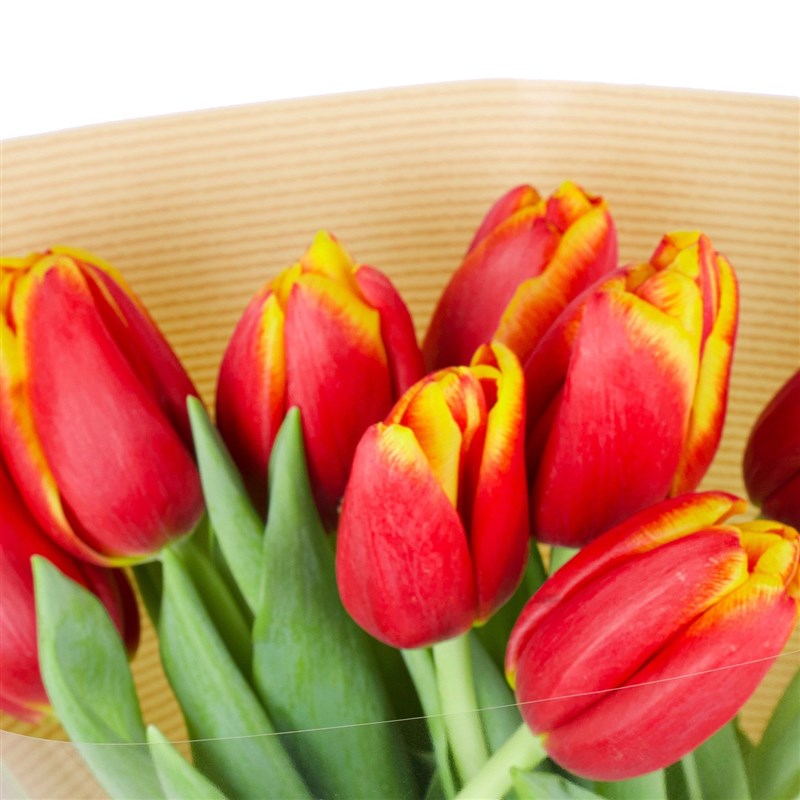Sarı Kırmızı Lale Buketi