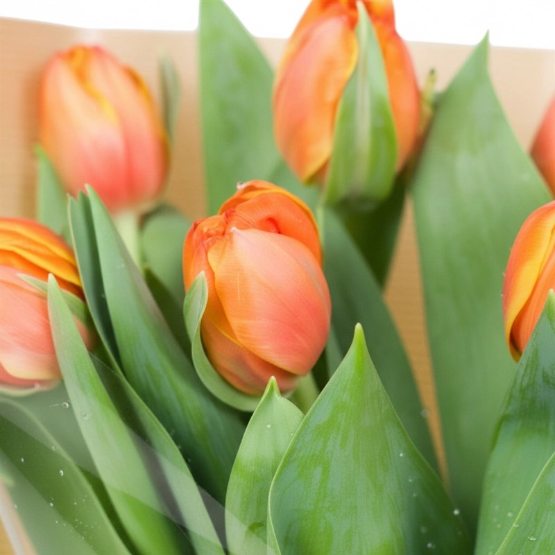 Double Sarı Turuncu Lale Buketi 7 li