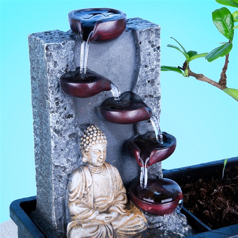 Buddha Bonsai Water Garden