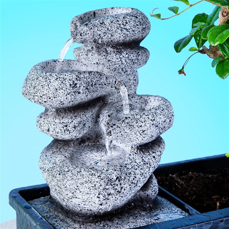 Zen Bonsai Water Garden