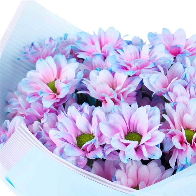 Renkli Papatya Buketi Kuzguncuk Rainbow Mavi Rüya