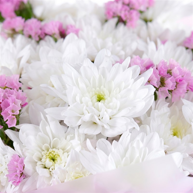 White Pink Daisy Bouquet - Kuzguncuk White Pink
