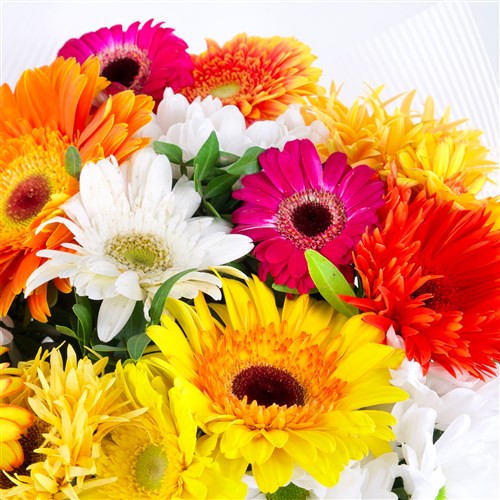 Gerbera Buketi Riva Mix Turuncu