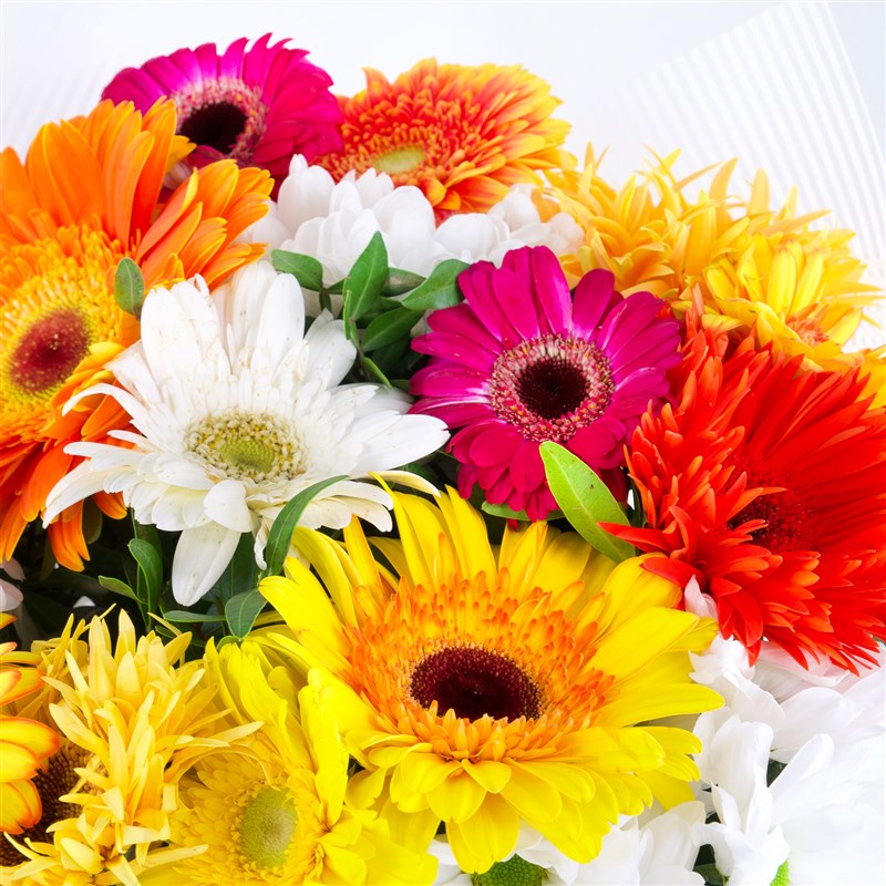 Gerbera Bouquet Riva Mix Orange