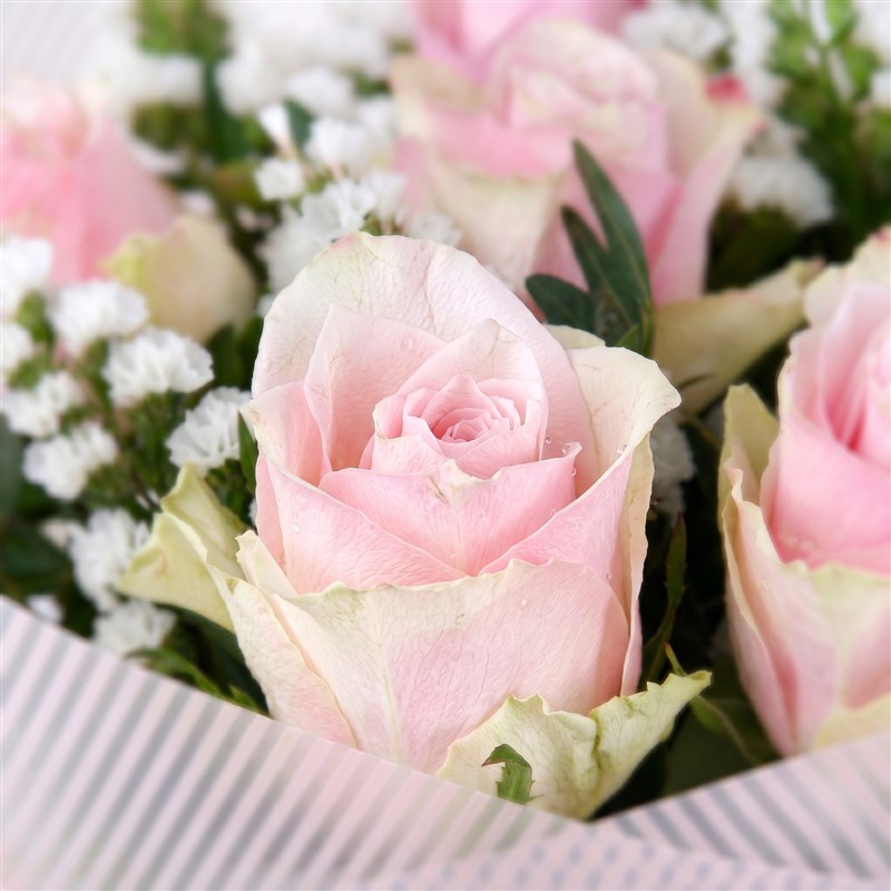 Soft Pembe Gül Buketi - Yeşilköy