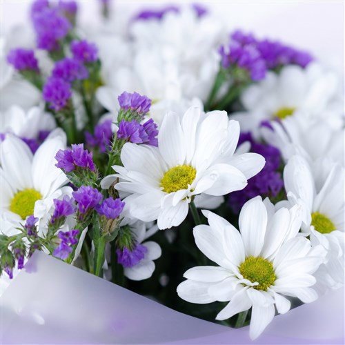 Mor Beyaz Papatya Buketi - Kuzguncuk White Purple