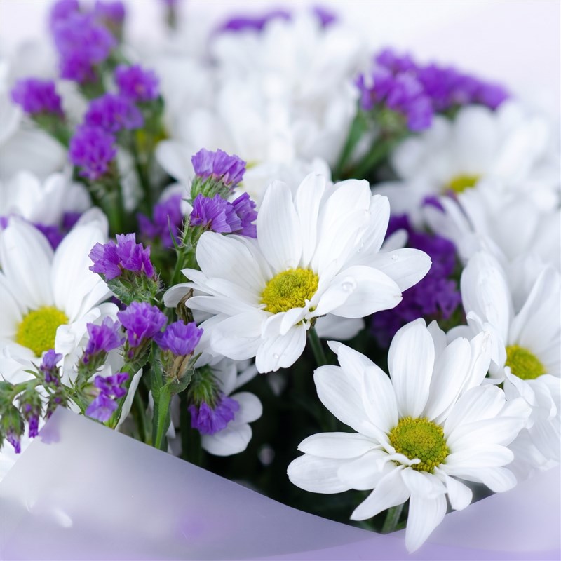Purple and White Daisy Bouquet - Kuzguncuk White Purple