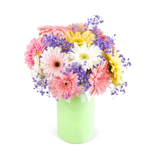 Neşeli Renkler Gerbera Aranjmanı