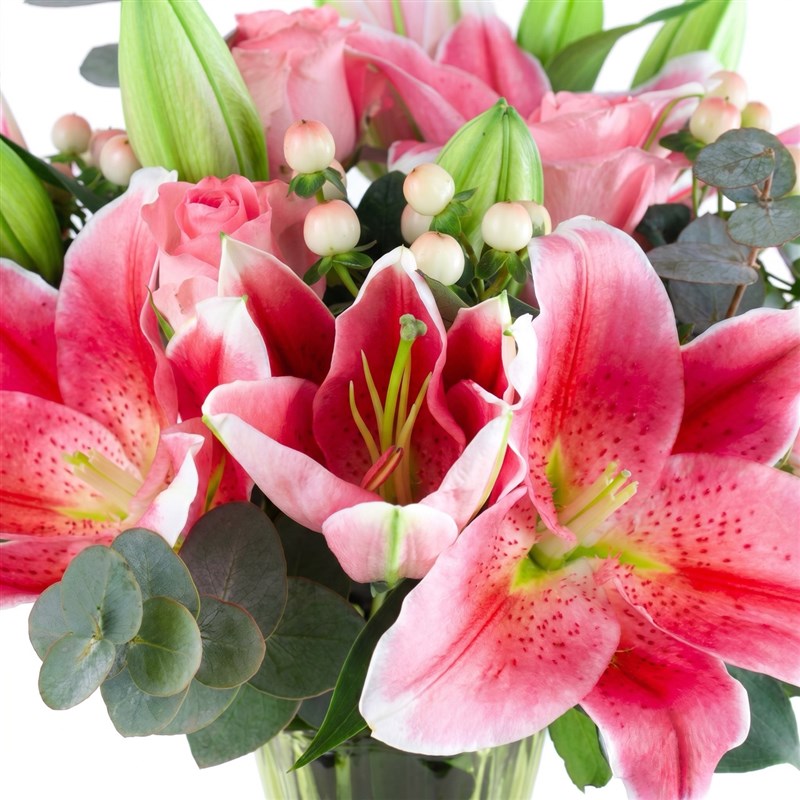 Lilyum Pink Roses Aranjmanı