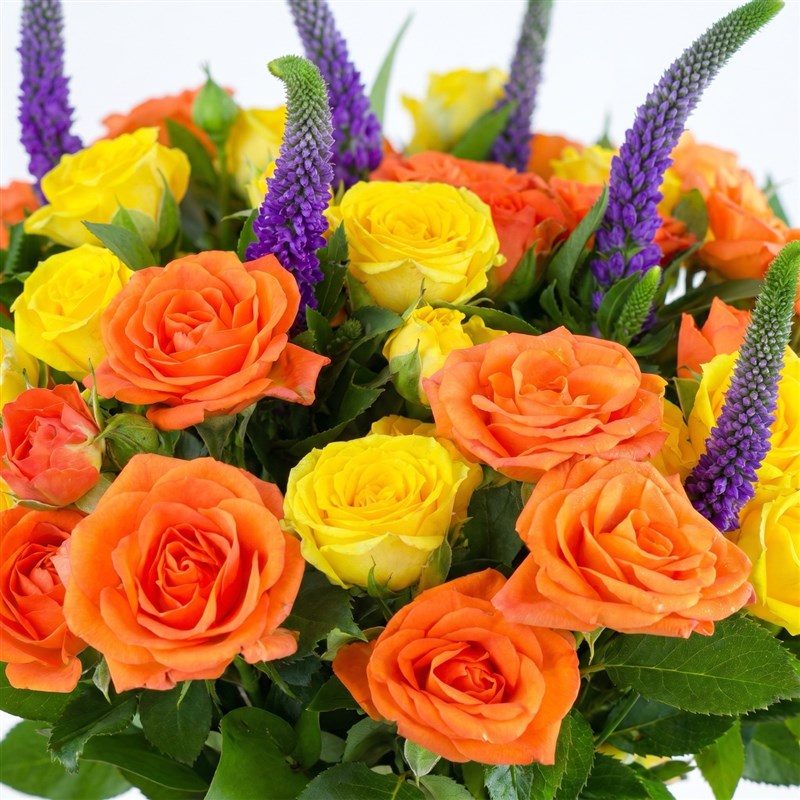 Orange Blossom