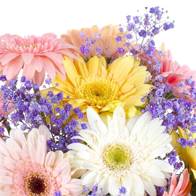 Neşeli Renkler Gerbera Aranjmanı