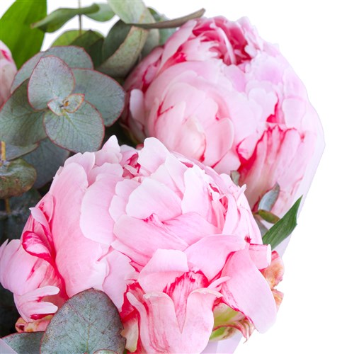 Pembe Şakayık Buketi Peony