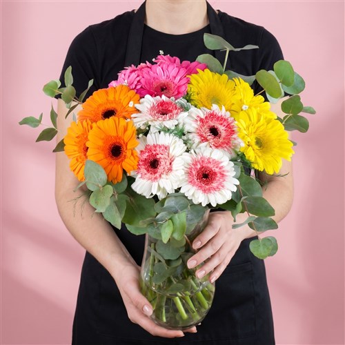 Renkli Gerbera Bahçesi Honey
