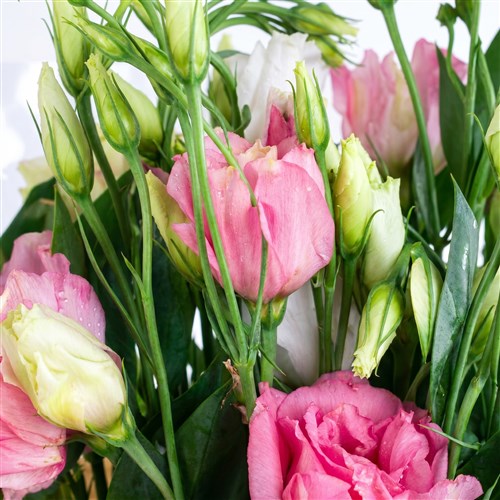 Pembe Lisianthus Buketi