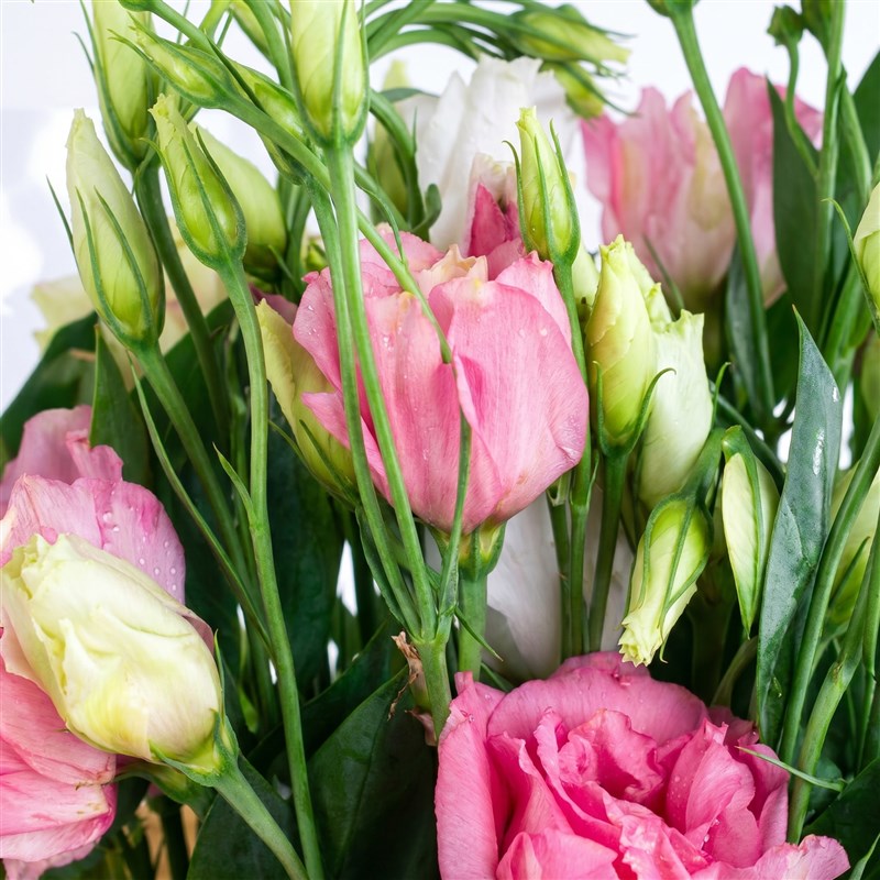 Pembe Lisianthus Buketi