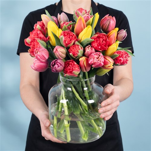 Renkli Lale Aranjmanı - Rainbow Tulips