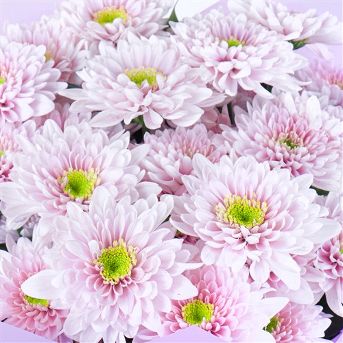 Kuzguncuk Soft Pembe Buketi