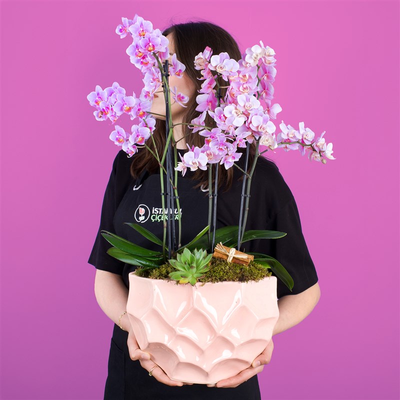 Premium Soft Pembe Orkide Bahçesi