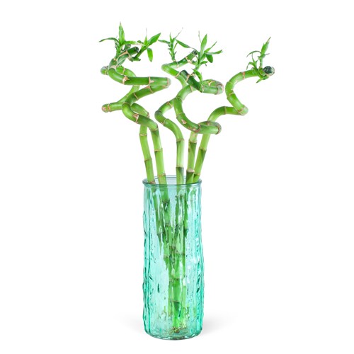 Bambu Aranjmanı Sea Breeze