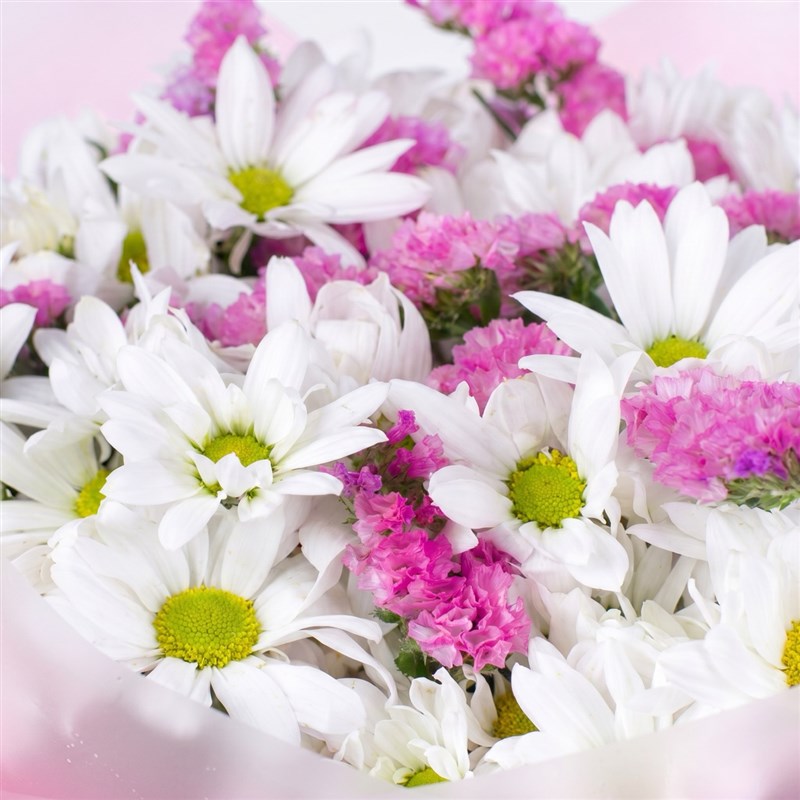 Beyaz Pembe Papatya Buketi - Kuzguncuk White Pink