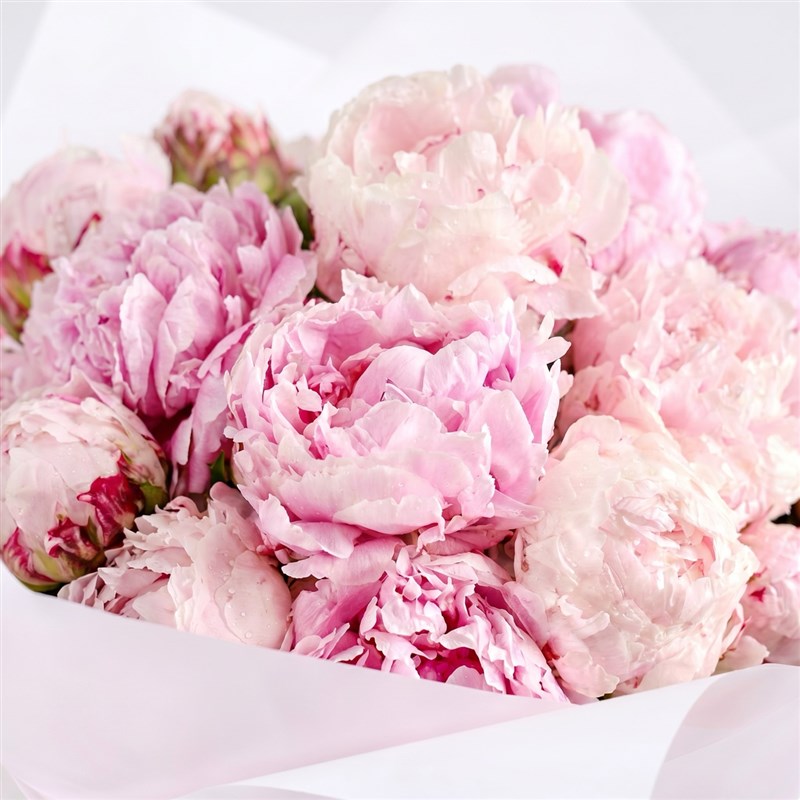 Soft Pembe Şakayık Buketi