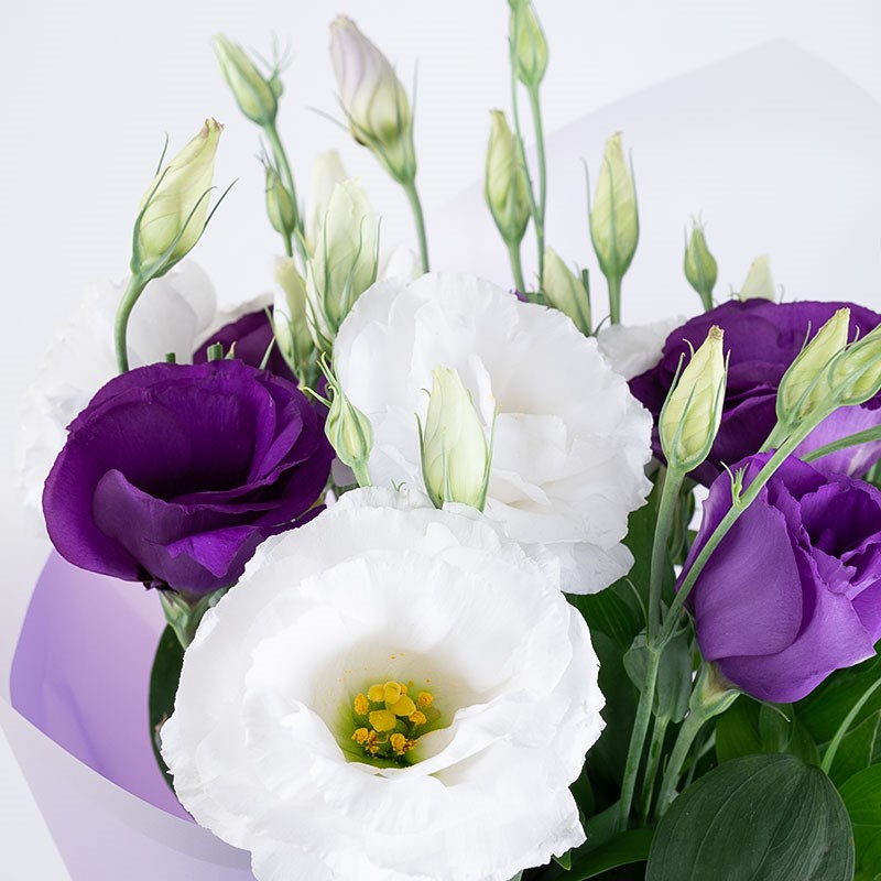 Mor Lisianthus Buketi