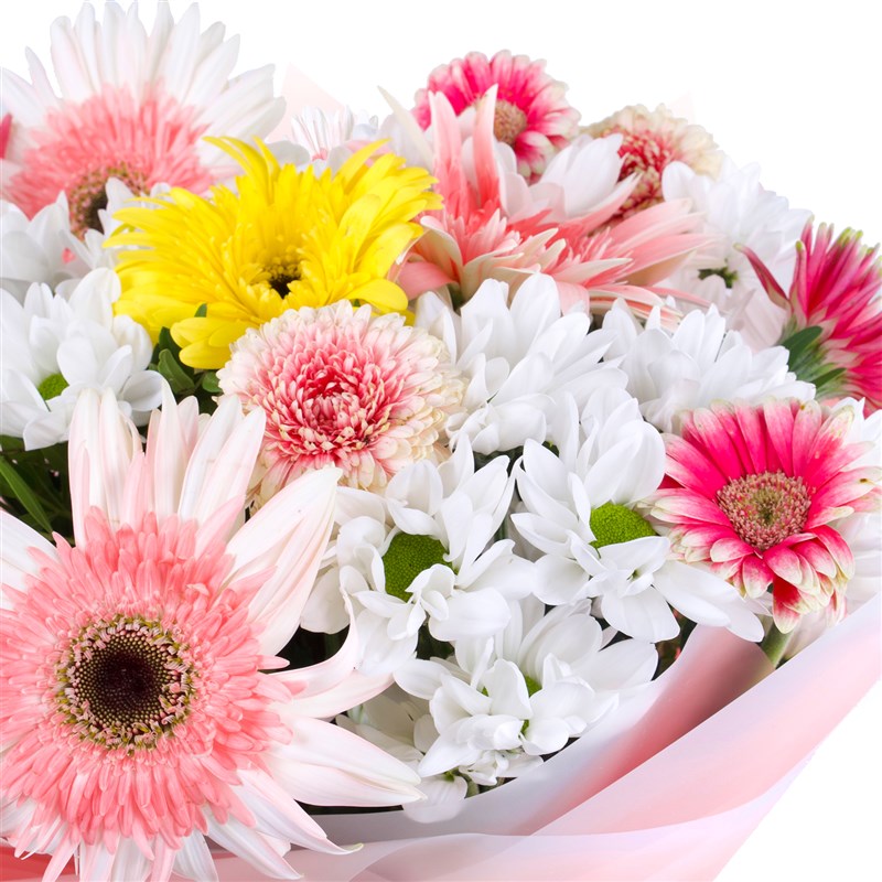 Gerbera Buketi Riva Mix Pembe