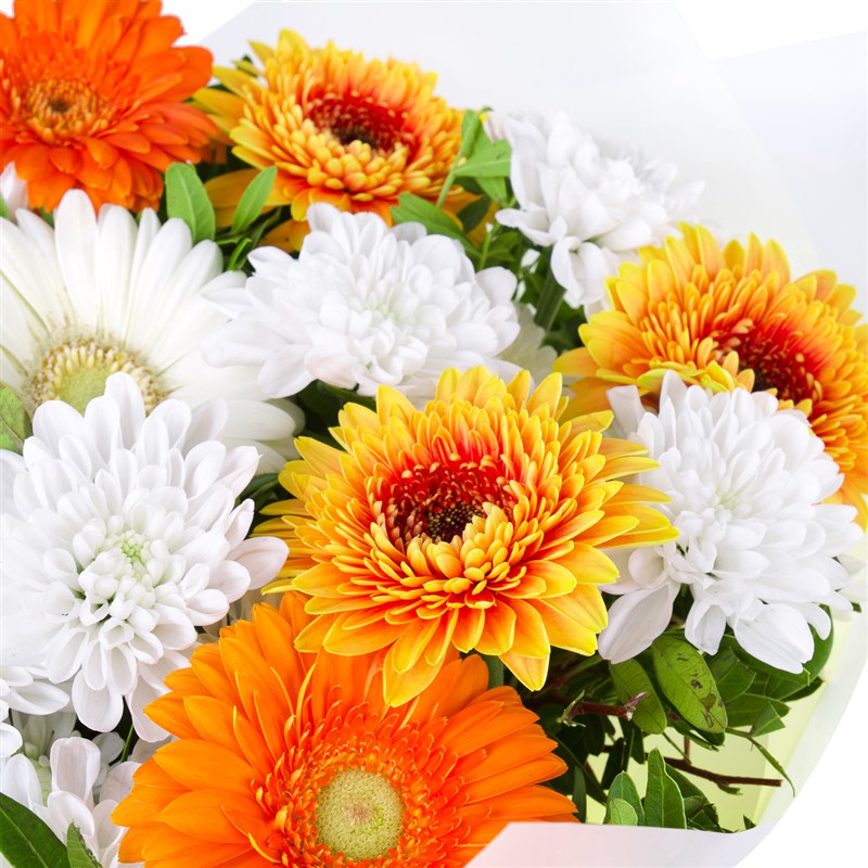 Gerbera Buketi Riva Mix Turuncu