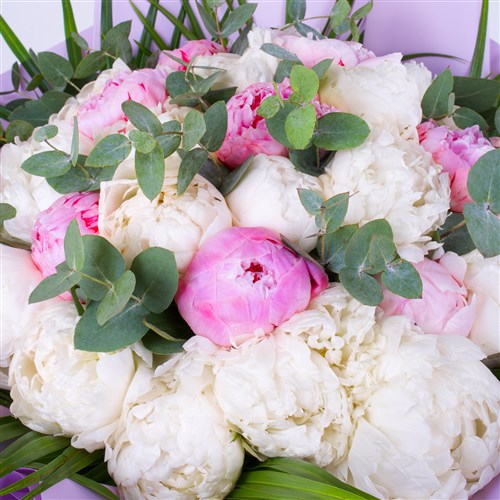 Premium Pembe Beyaz Şakayık Buketi