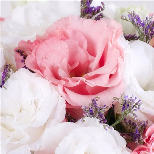 Lisyantus Aranjmanı Bella Rosa