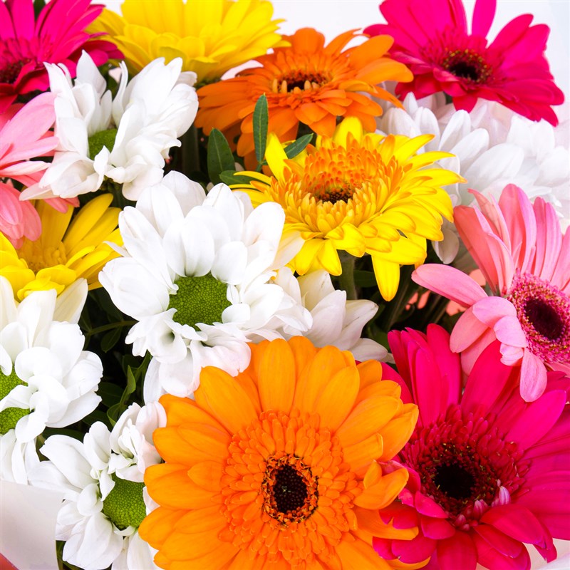 Gerbera Buketi Riva Mix Turuncu Pembe