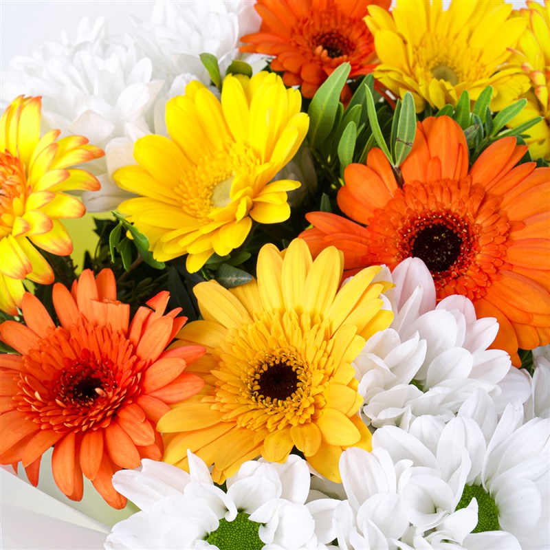 Gerbera Buketi Riva Mix Turuncu