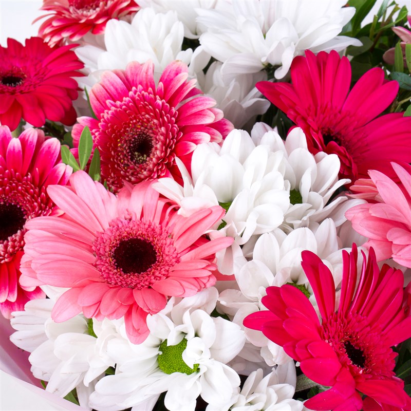 Gerbera Buketi Riva Mix Pembe